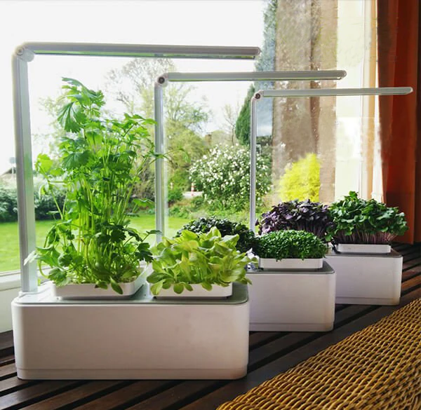 

indoor mini smart garden urban flower planter pot tomato planter indoor hydroponics planting system smart mini garden