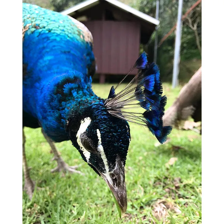 
Exquisite pictures of landscapes, cityscapes, street scenes, facades. 