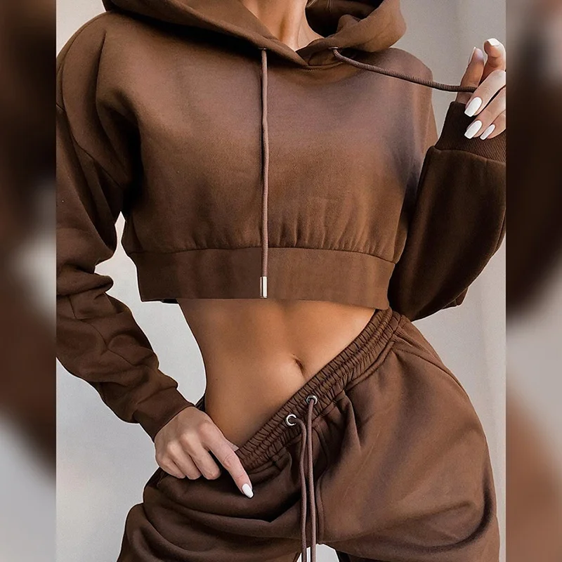 

Spot wholesale European and American Plush sweater suit women's Hooded Sweater sports leisure two-piece set