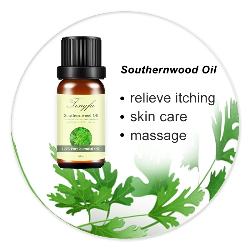 

Therapeutic Grade 100% Pure Natural Organic Southernwood Oil Annua Essential Oil for Massage