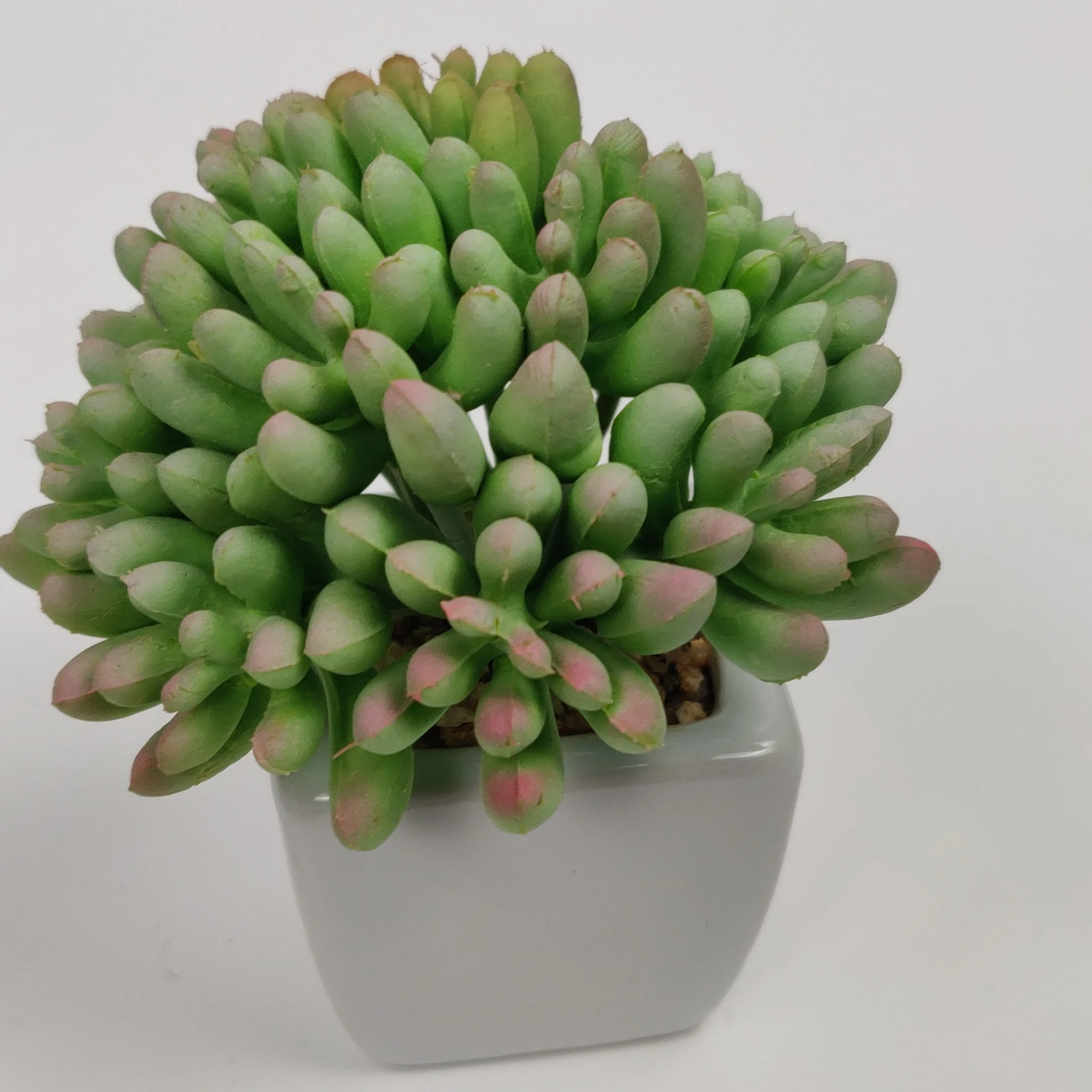 

High Quality Artificial Plastic Green Plant Simulation Pot Succulent, As shown