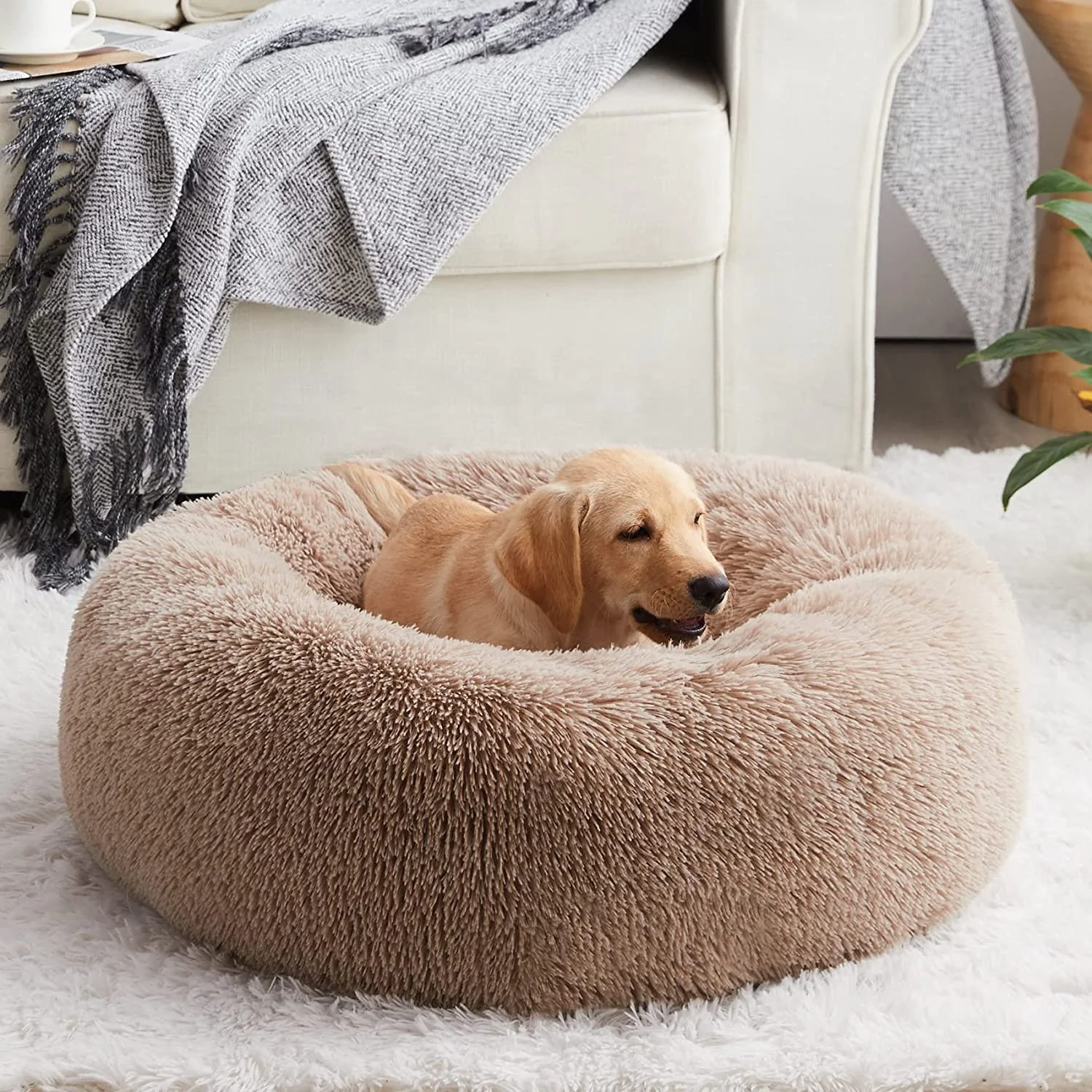 

Custom Logo Designer Non Slip Cat Pet China Luxury Relaxing House Nordic Fluffy Cushion Big Donut Large Dog Bed, Multiple colour