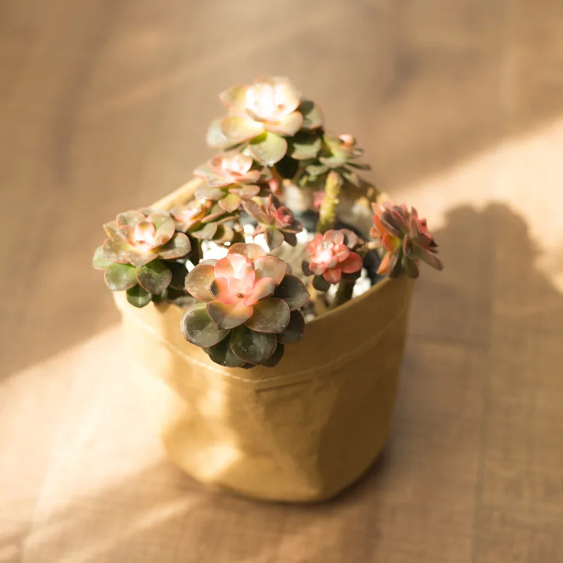 
Nordic retro Kraft paper flower basket desktop potted storage basket washed fabric laundry basket 