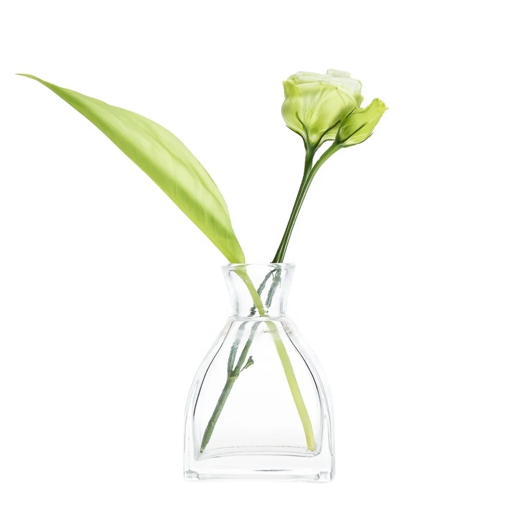 

High quality handicraft home decorative flower glass vase, Clear transparent