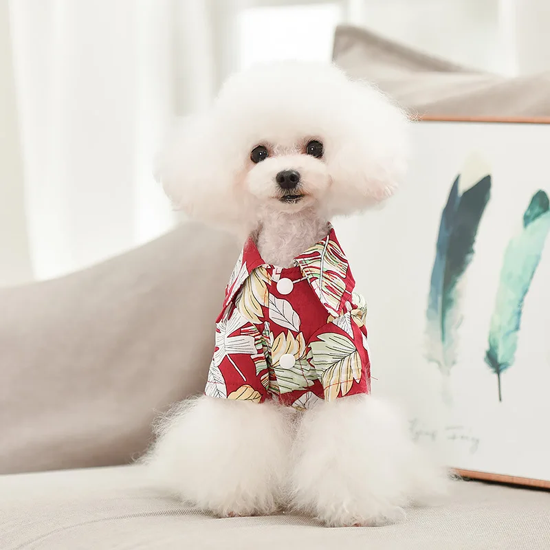 

Wholesale Luxury Fashions Cute Pet Accessories Designers Cotton Summer Spring XXS Dog T-shirt Clothes for pet