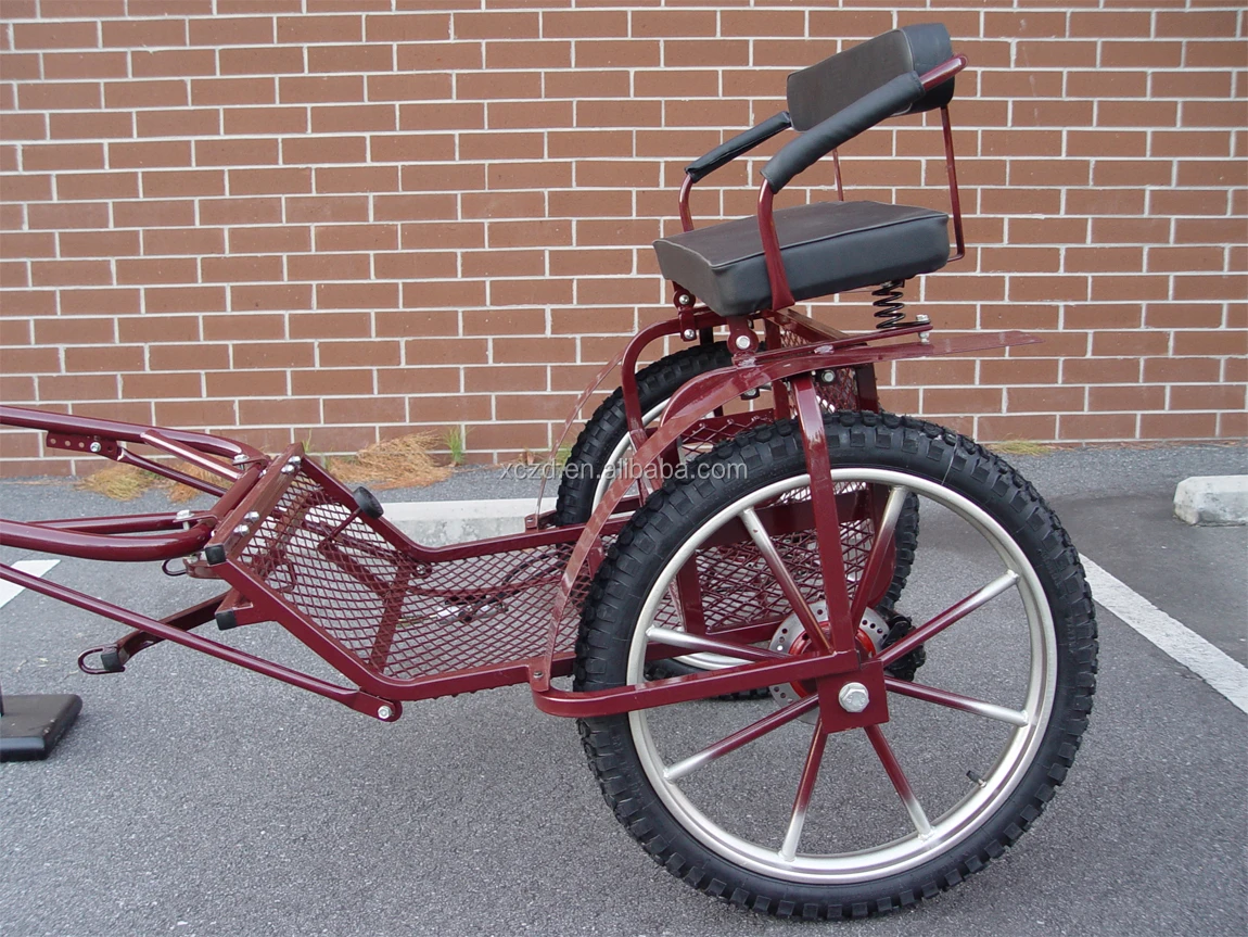 2020 Customizable Twowheel Marathon Horse Carriage Mini Cars/high