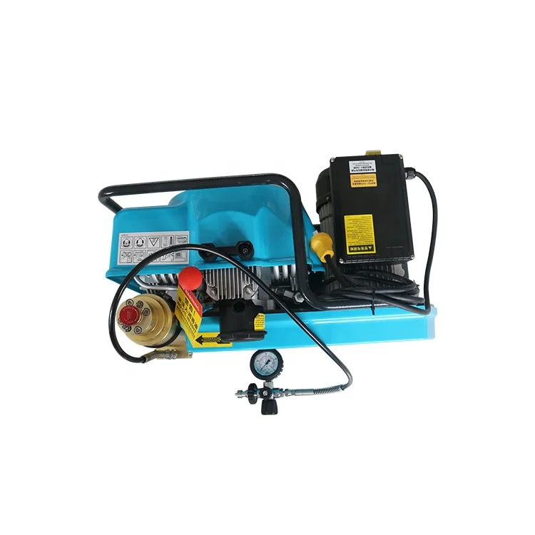 
Cheap High Pressure 100 L air Compressor for breathing apparatus 