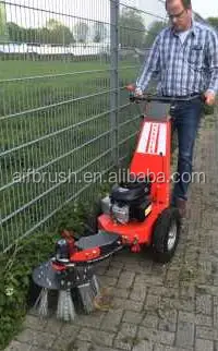 00.bild3.Wildkrautbuerste1.jpg