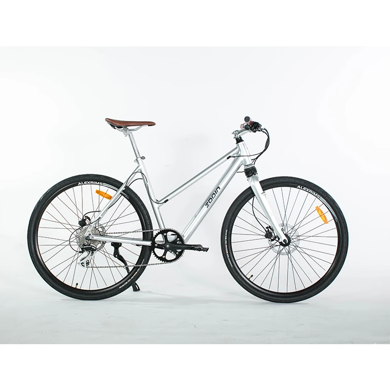 

Easier Rider New Style Arrive Hidden Battery 250W 36V Motor Alloy Aluminum Electric Bike