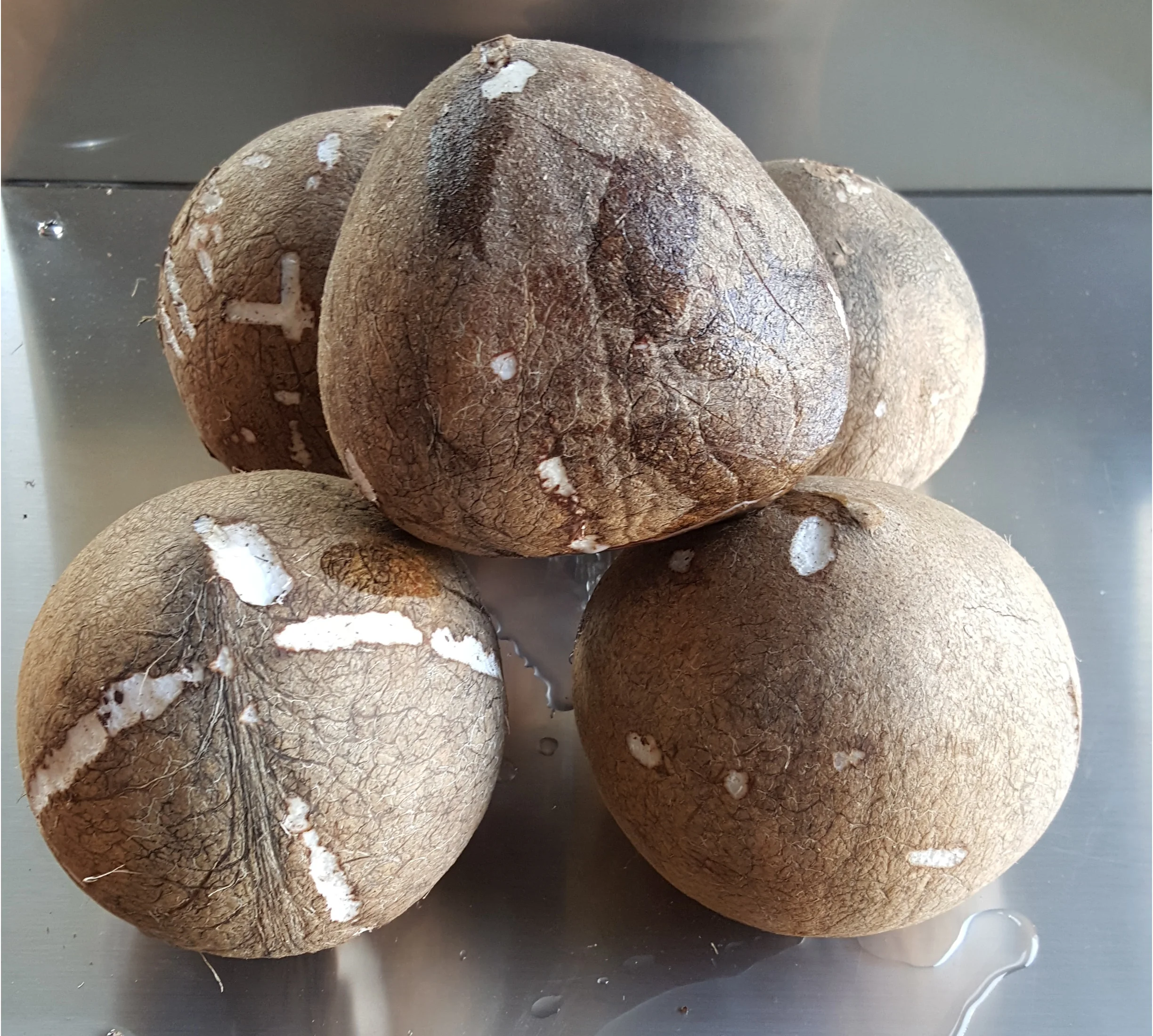 dehusking machine as coconut crushing machine as coconut husking