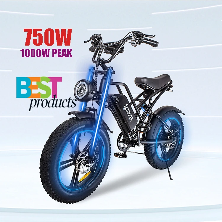 

EU US Retro Motorcycle Design Tax Free Max Range 50Kmh 750W 15AH E20 Electric Mountain Bike Electric City Bike Hybrid Bike