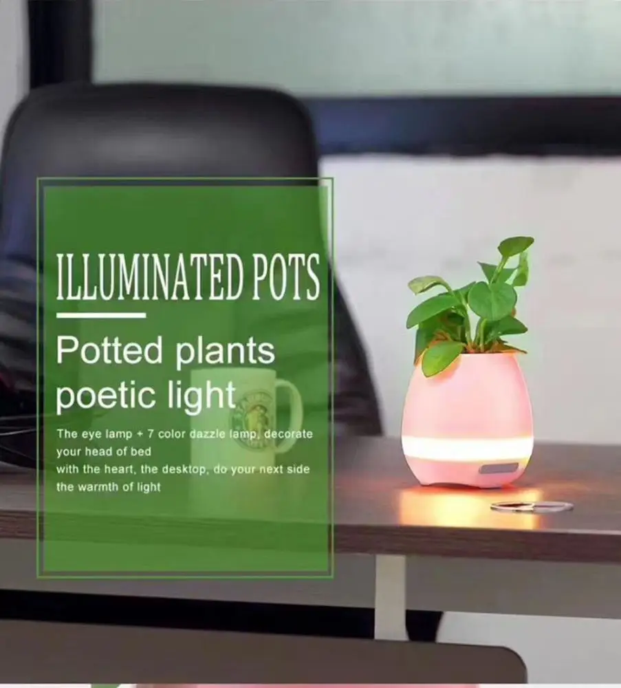 potting lighter echo Bluetooth Wireless bocina diffuser speaker - ANKUX.COM