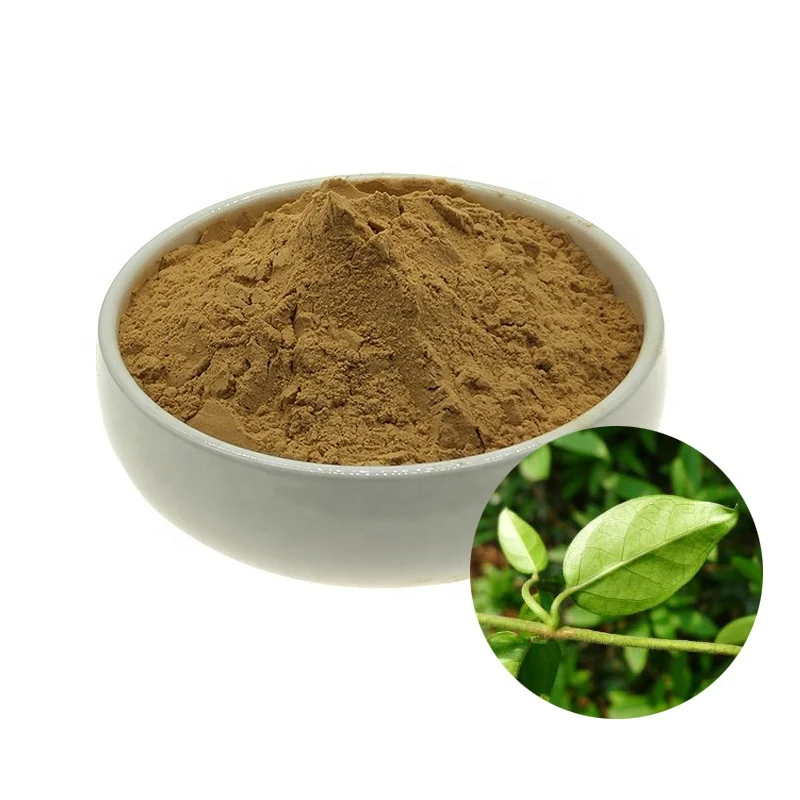 

Natural Gymnema Sylvestre Leaf Extract 10:1 Gymnema Powder