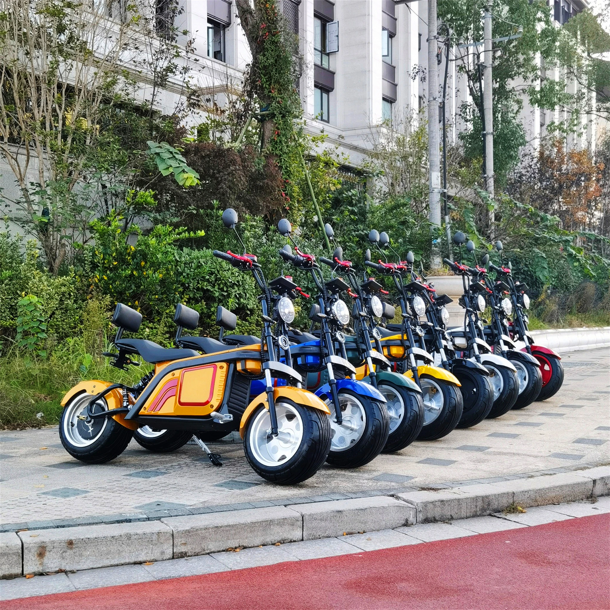 

2022 Hot Selling 48V 800W Small Mini Citycoco Scooter For Sale