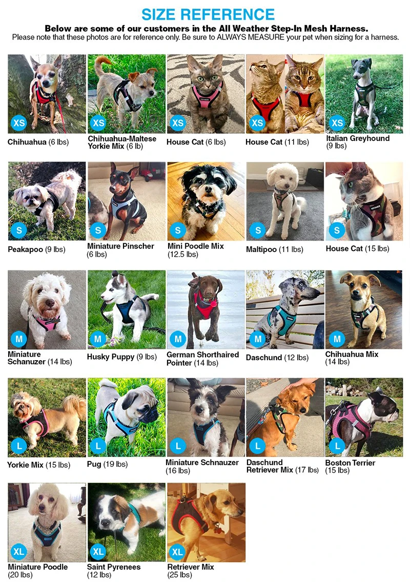 Step-in Air Dog Harness-All Weather Mesh, Step in Vest Harness for Small and Medium Dogs by Best Pet Supplies