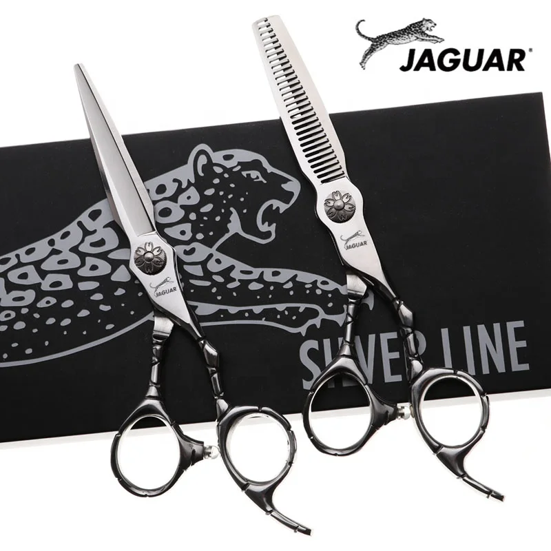 

6 Inch Professional Hairdressing Scissors Set Cutting+Thinning Barber Shears High Quality Personality Hair Scissors, Silver