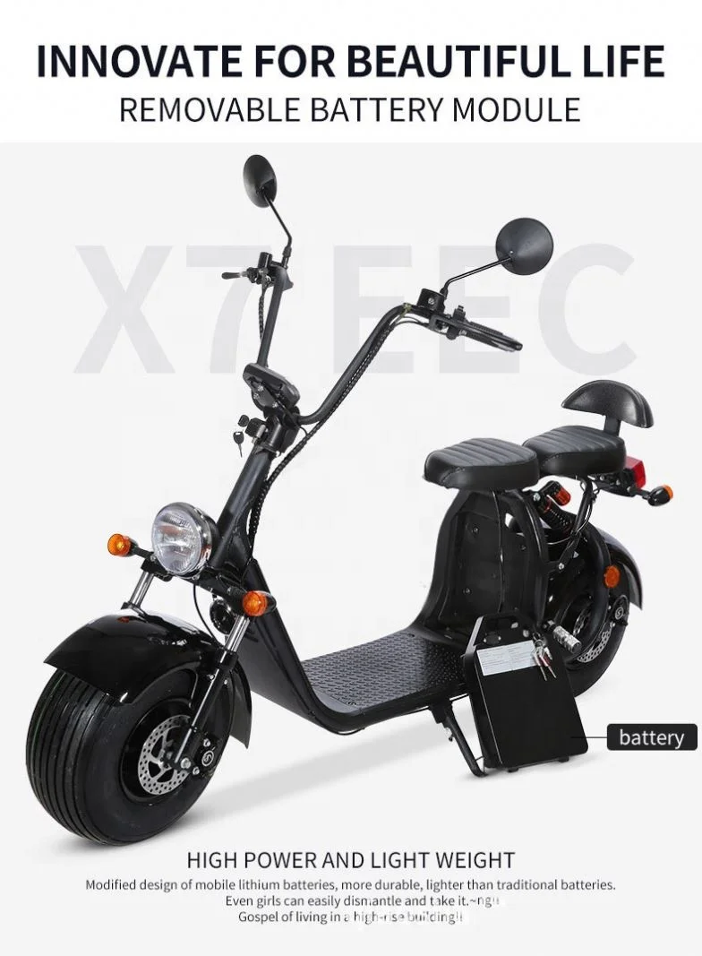 

450W Moped Electric Motorcycle With Disc Brake