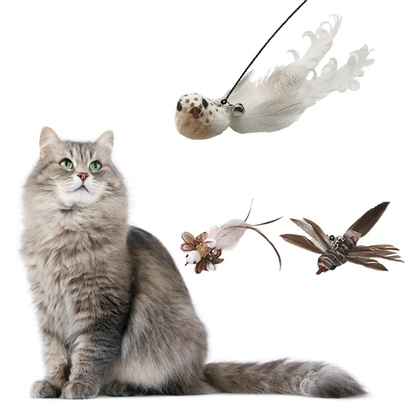 

Simulation bird Hot Selling Sticky Suction Cup Bite-resistant Funny Stick cat teaser with suction cup Cat feather toy