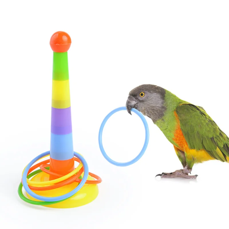 

Wholesale Puzzle Parrot Bird Toy Color Trap Throwing Bird Toys Parrot Accessories Bird, Picture