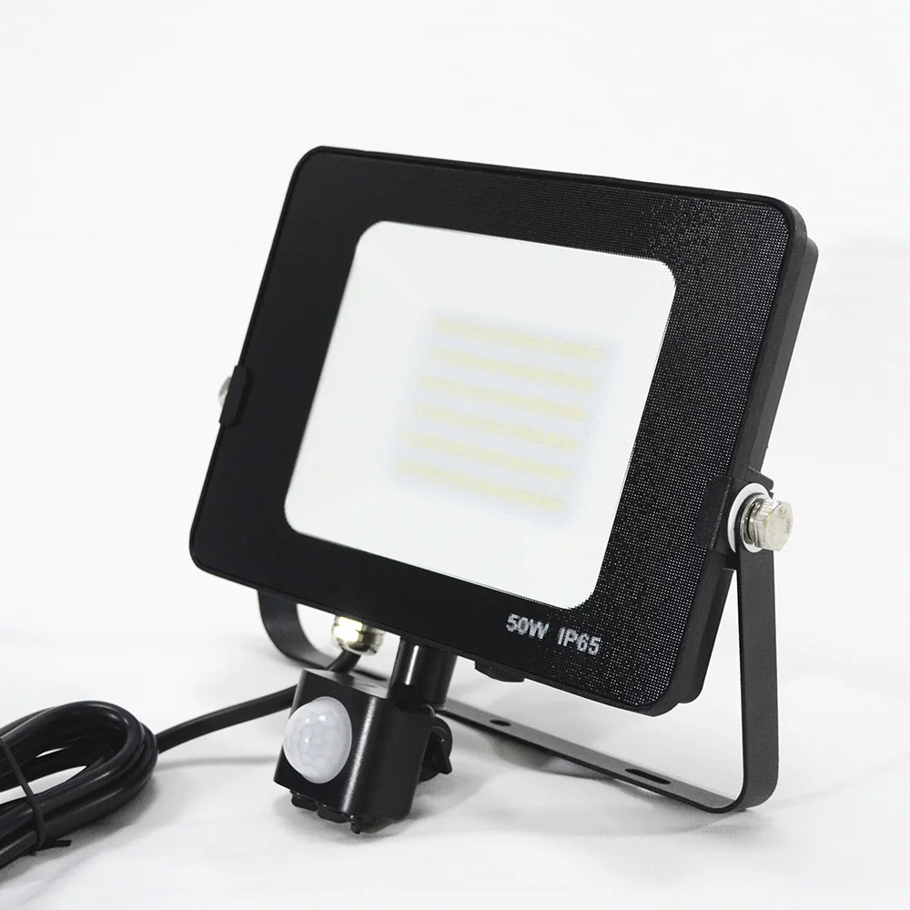 30w 50w 70w 150w 200w Outdoor 100w Ip65 Globe Led Floodlight With Ce