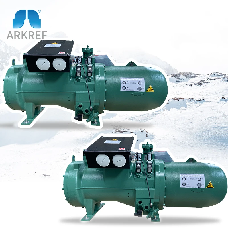 

Refrigeration Compressor For Cold Room Germany Bitzer Compact Screw Compressor CSH6563-60-38P