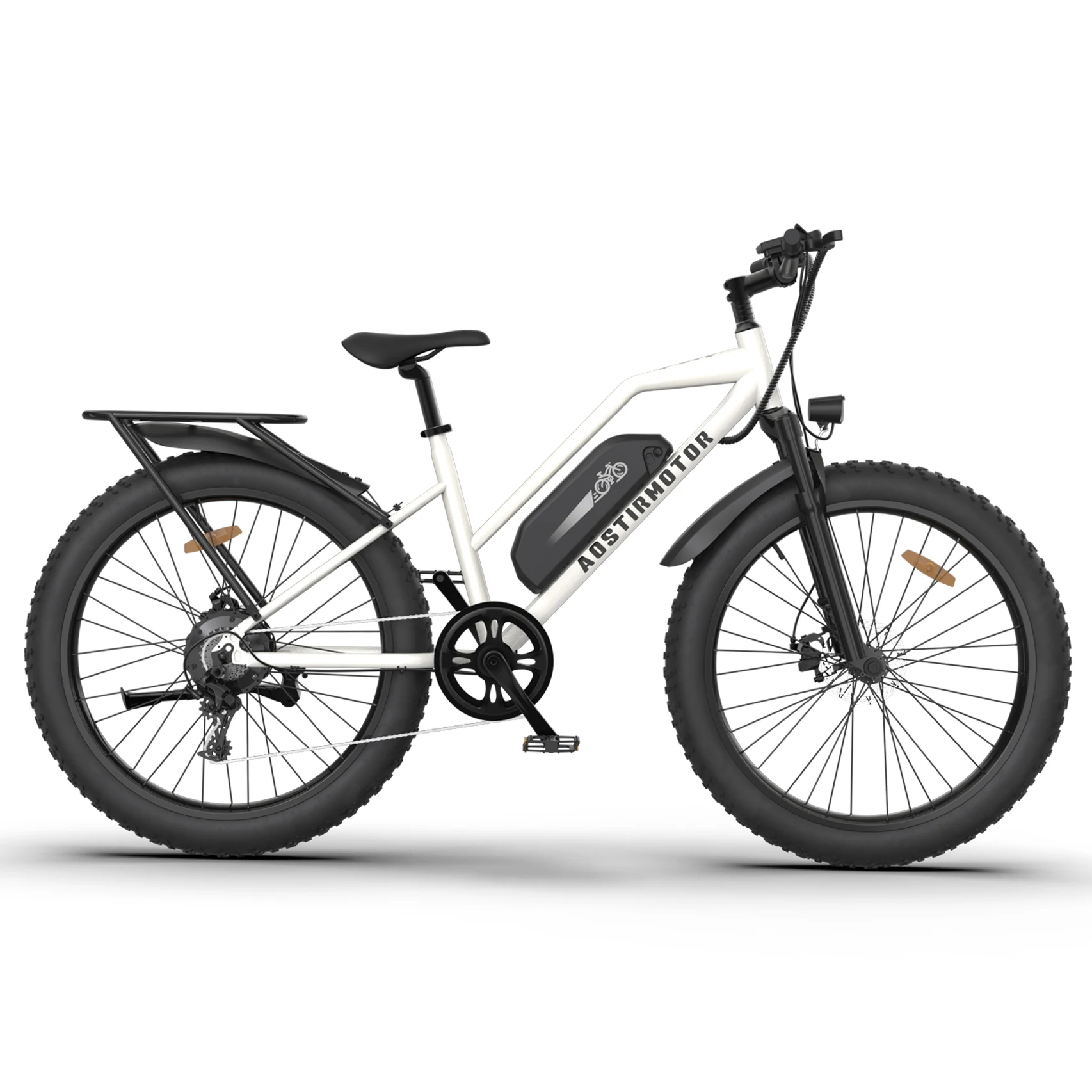 

Intelligent Pedal Assist Lowrider Step Through 750W Ebike Electric Bike