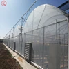 Directly Sale Multi/Single Span Film Vegetable Greenhouse Farm For Agriculture