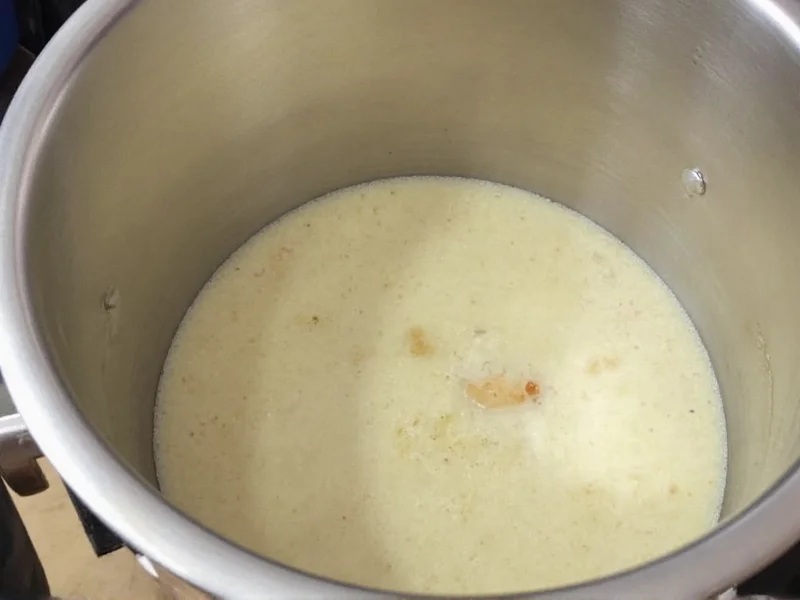 Potato starch removal process demonstration