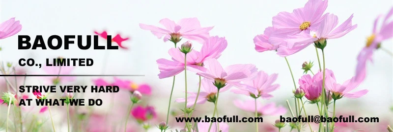Baofull-letter-flower