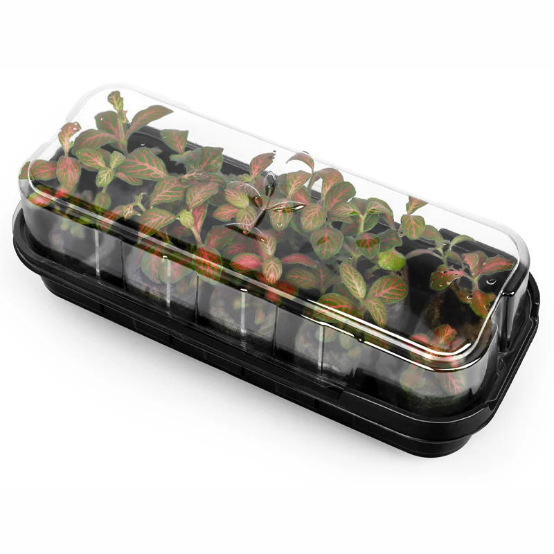 

Professional Manufacturer Seed Growing Tray Seed Starting Trays, Black