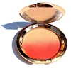Privet label blush palette makeup custom organic highlight pigmented blusher powder