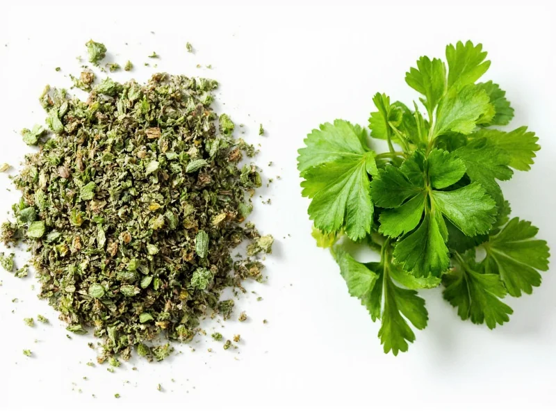 Dried Cilantro vs Fresh: Flavor, Substitution & Best Uses