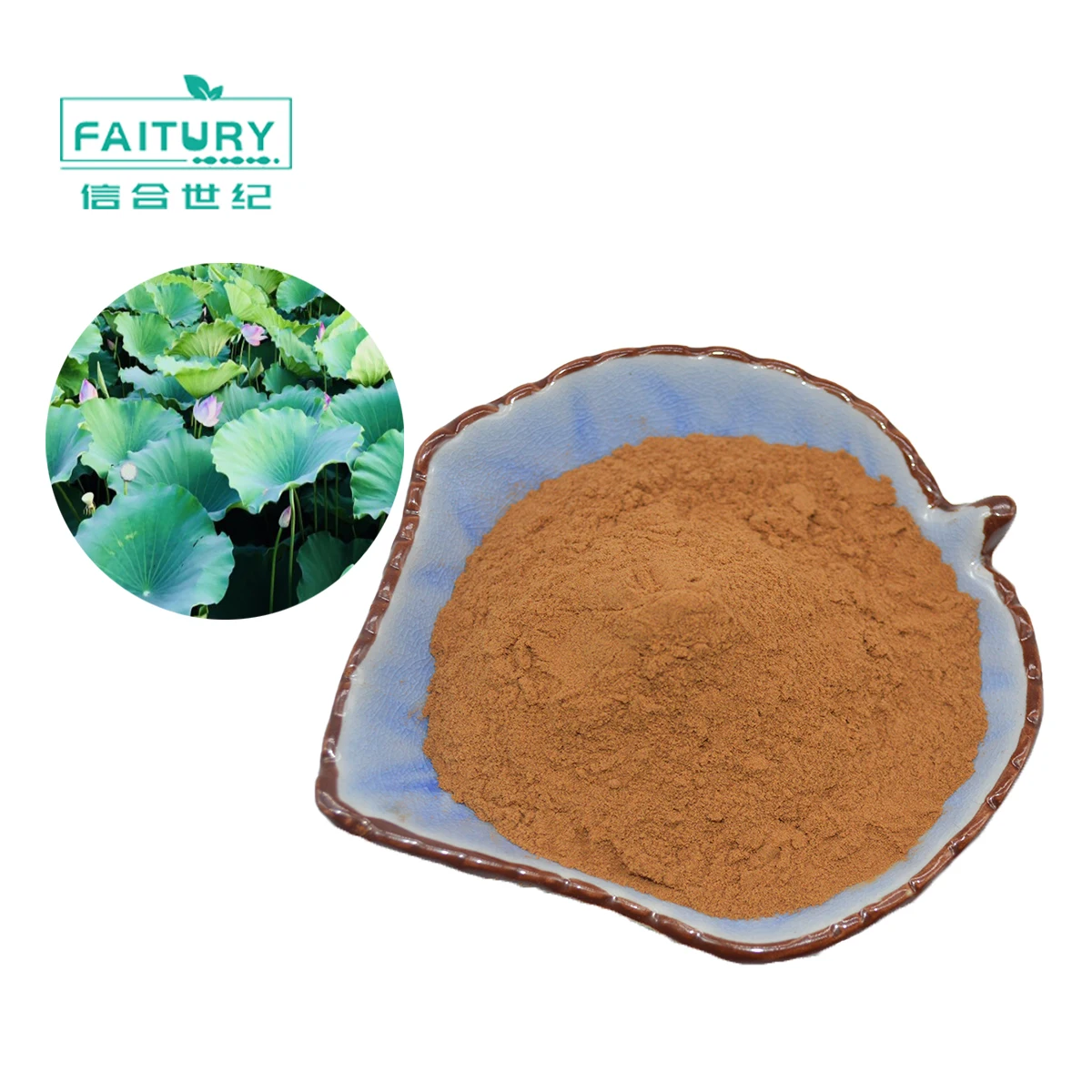

Factory Supply Slimming Powder Lotus leaf extract Lotus leaf alkali 2%