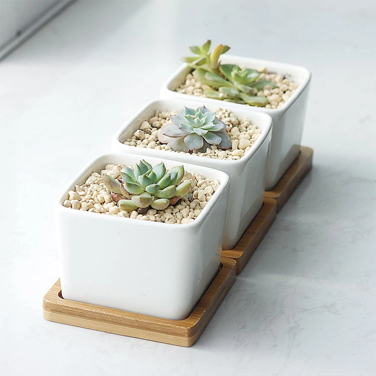 

White Modern Home Office Decor Small Ceramic Succulent Planter Pots Succulent Plant Flower Cactus Containers With Wooden Tray, Customized color