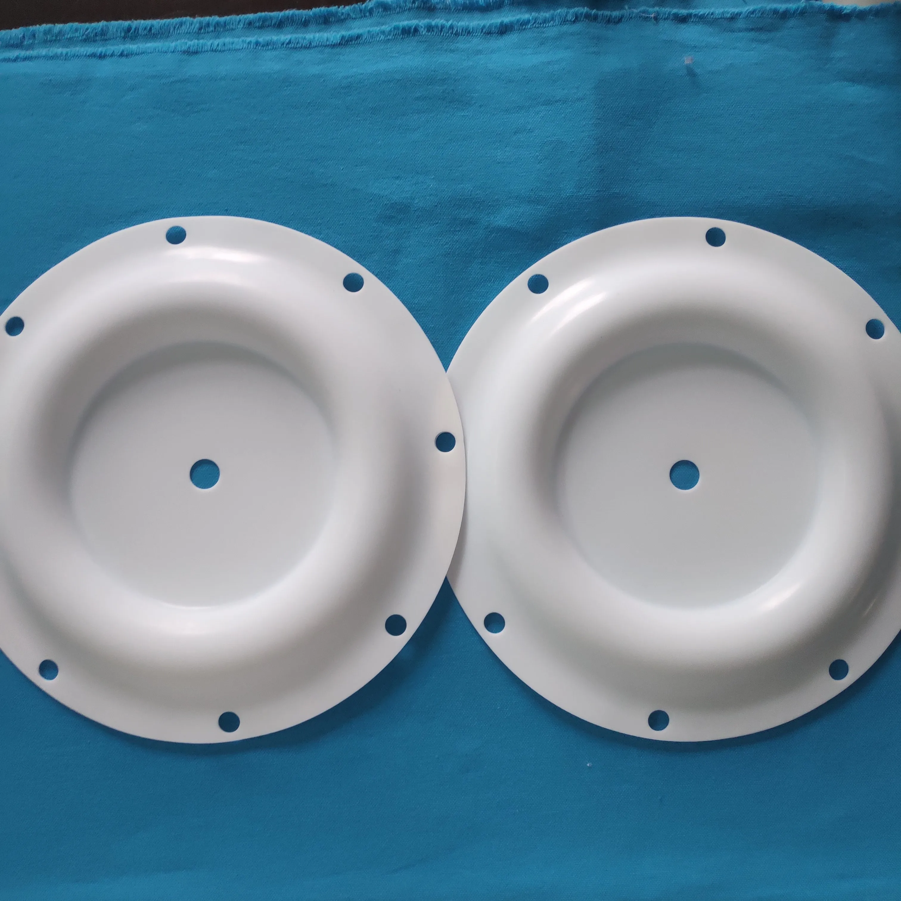 Factory Made Ptfe Diaphragm 286-099-600 For Sandpiper Diaphragm Pump factory