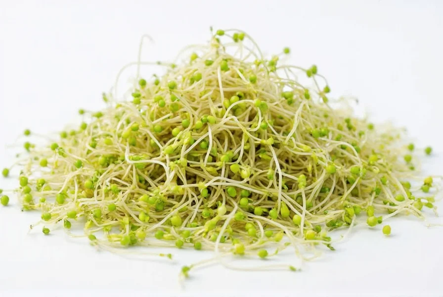 Step-by-step visual guide showing fenugreek seeds progressing from soaking to fully sprouted stage in a glass jar