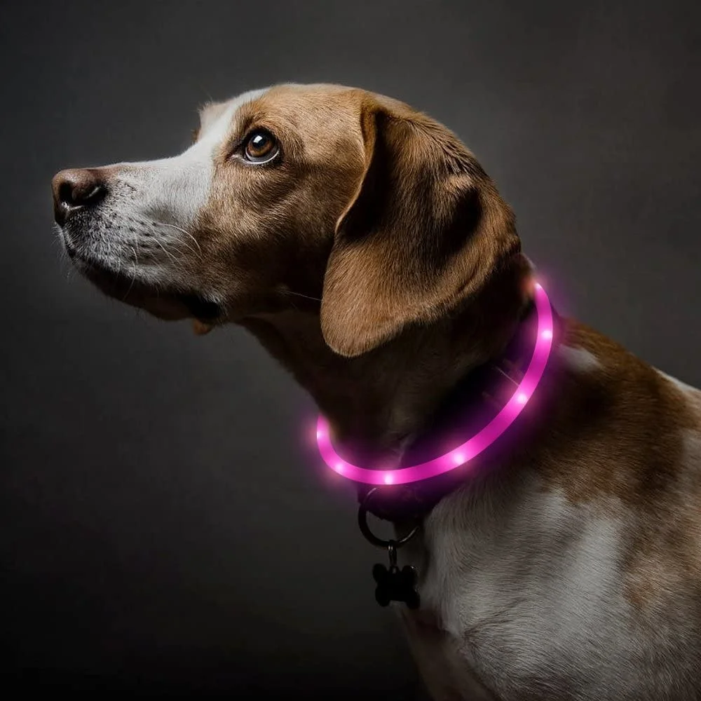 

USB Rechargeable Flash Dog Necklace Light Pet Safety Collar Led Silicone Dog Collar