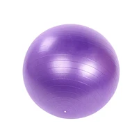 

Best Selling Gym Equipment Anti-burst Fitness Exercise Stability Swiss Yoga Ball