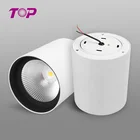 Modern style IP65 COB surface mount led downlight 15W 20W 40W 55W outdoor led spotlight for home hotel