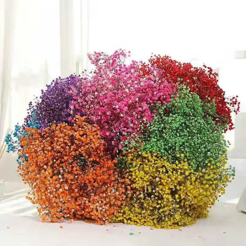 

Wholesale Wedding Decoration Preserved Gypsophila Baby Breath Flowers Tissue Paper Valentine's Day Gift Dried Flower 14 Colors