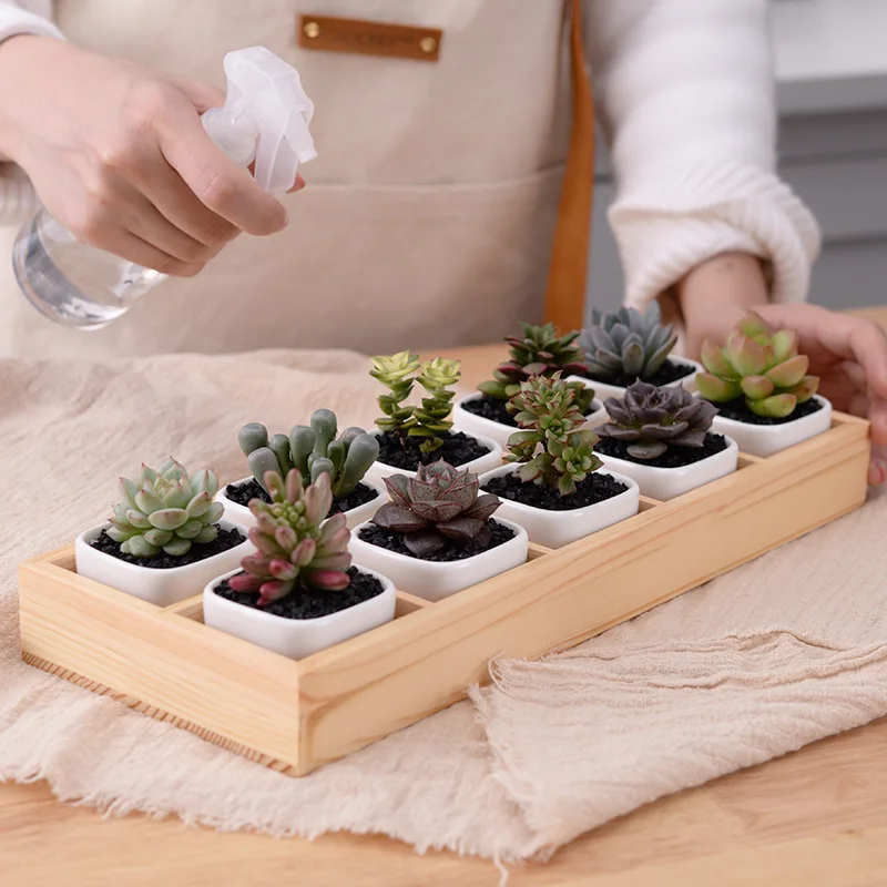 

Home Decoration Creative Mini 10-Grid Wooden Box Set Ceramic Succulents Flower Pot, Picture