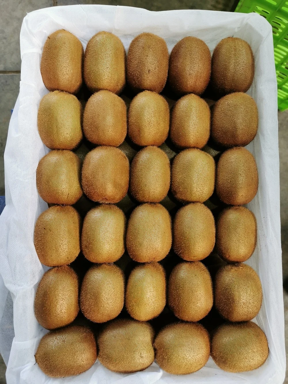 kiwi fruit 4.jpg