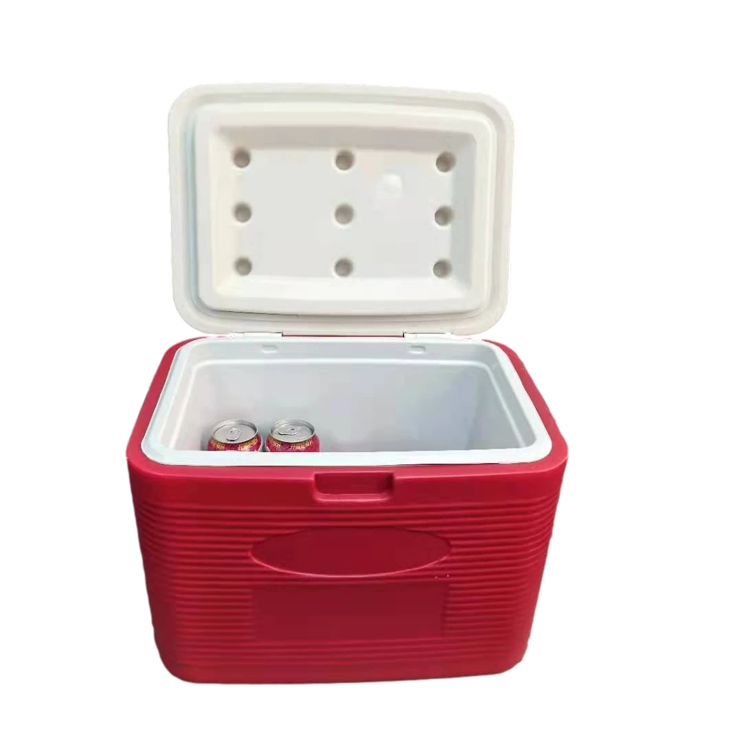 

High quality plastic portable laboratory blood transport insulation cooler vaccine carrier cold chain box food carrier box