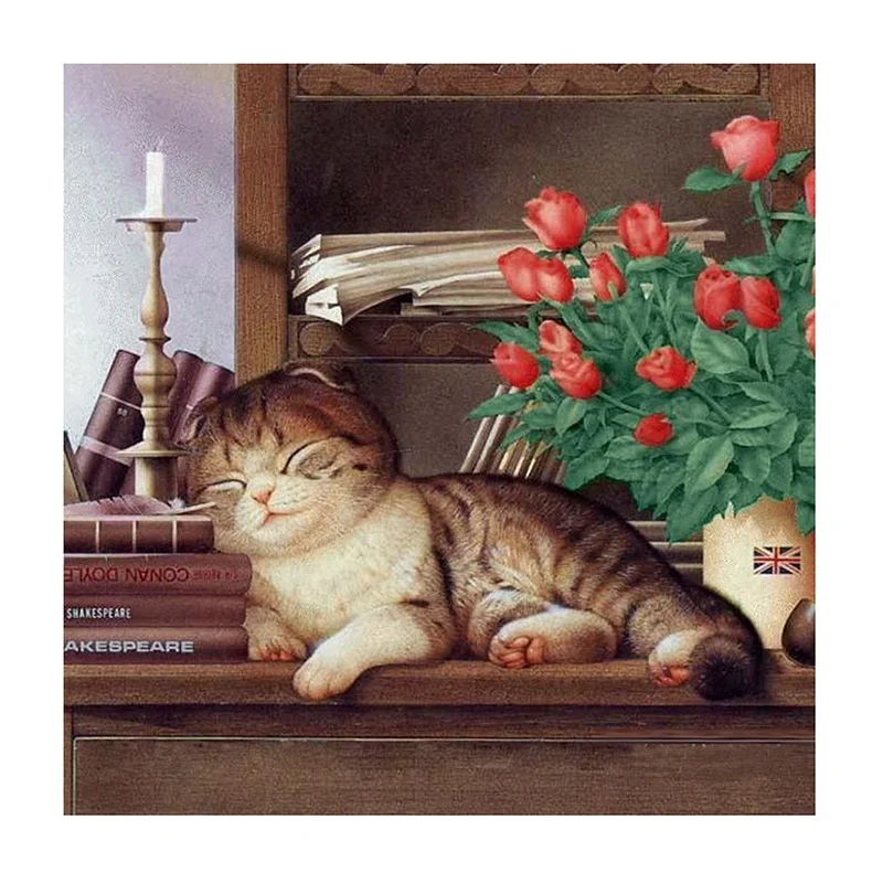 

Diy 5D Diamond Painting Animal Cat And Magic Book Picture Diamond Embroidery Wall Art Home Decor Mosaic Gift