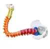 PNT-0120C Customized model skeleton spine for wholesale