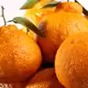 Wholesale Price Fresh Chinese Mandarine Oranges /Tangerine