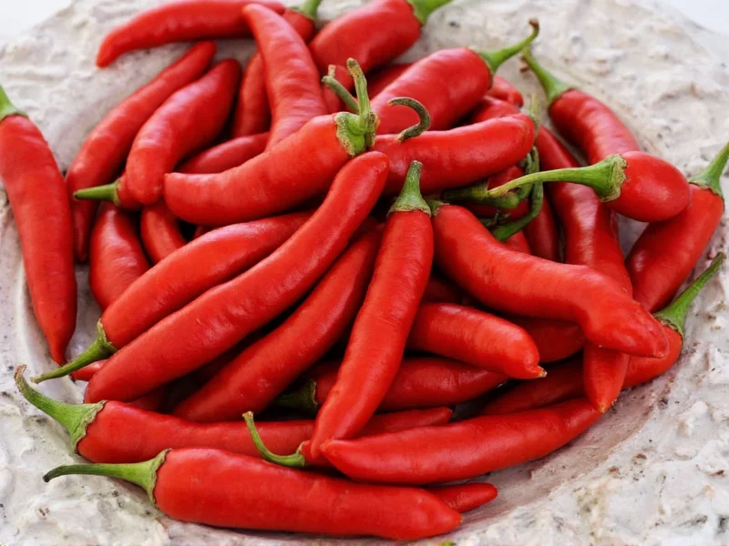 Guajillo Pepper Scoville Rating: 2,500-5,000 SHU Explained