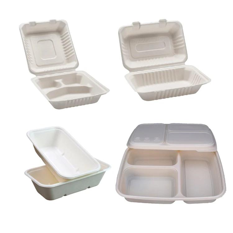 

Bagasse Biodegradable Disposable Takeway Food Container, White or natural