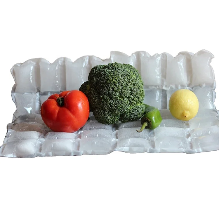 

Cooling Thermafreeze Ice Cube Gel Pack Shipping Cold Gel Sheet Techni Ice Dry Gel Ice Pack Insulated