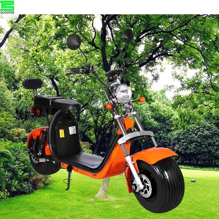 

Big power 2 person city coco 1500W 2000W